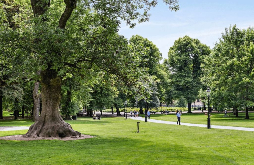 Betongentreprenad. Naturhistoriska museet. Djurgården | Betongföretag i Stockholm